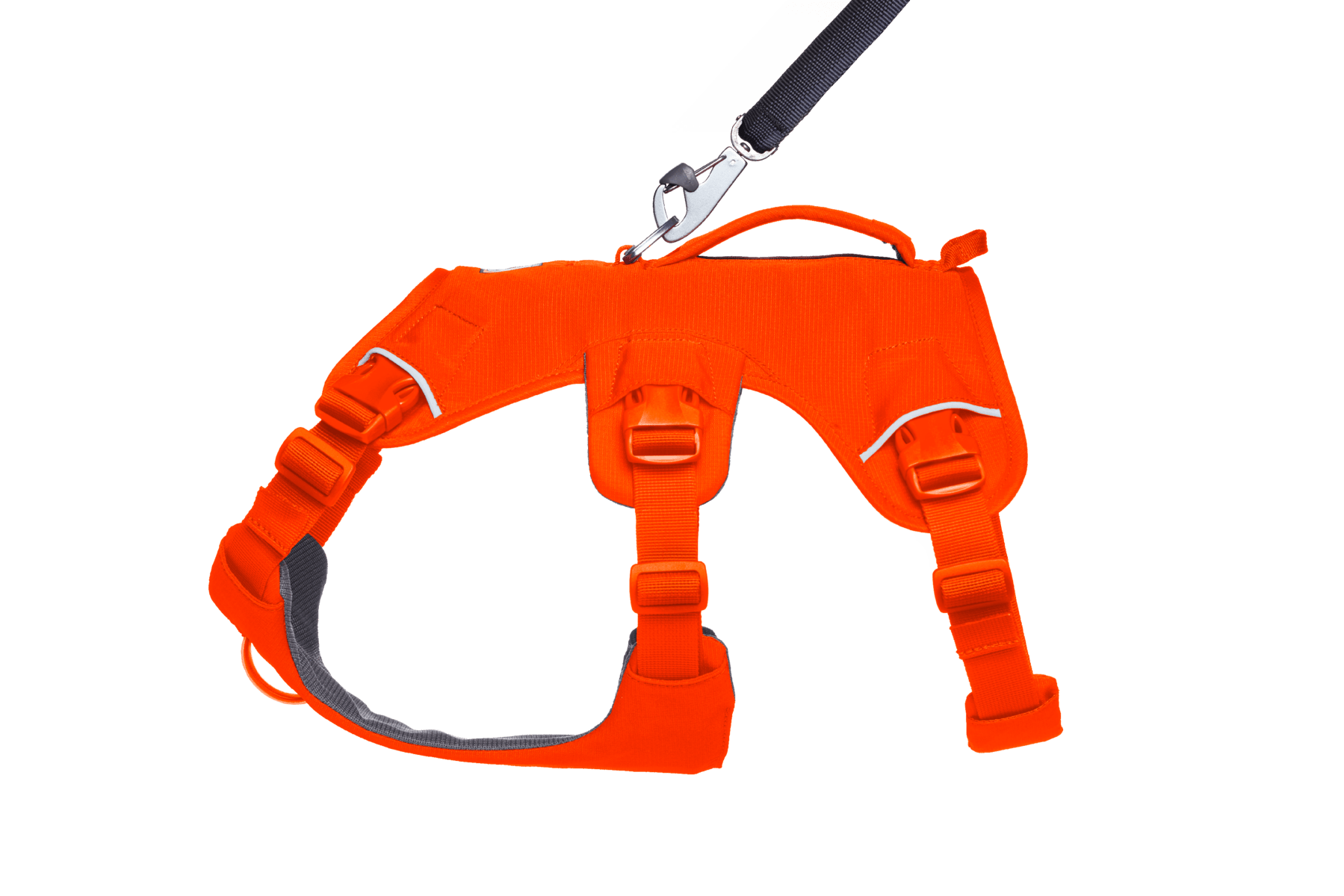 Web Master™ Dog Harness with Handle - Eva Pet - Ruff Wear Inc.