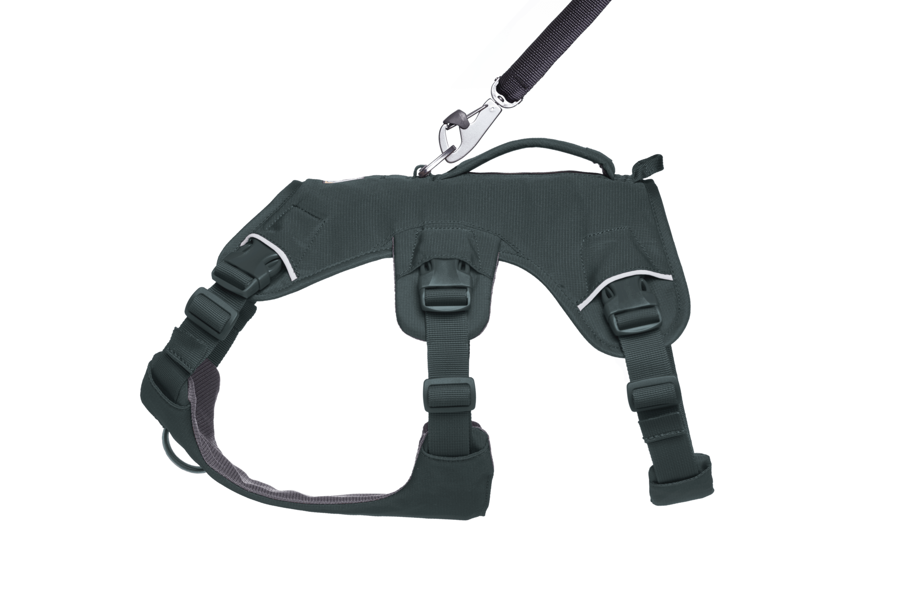 Web Master™ Dog Harness with Handle - Eva Pet - Ruff Wear Inc.