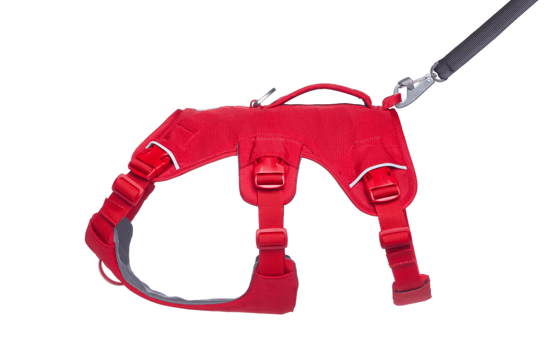 Web Master™ Dog Harness with Handle - Eva Pet - Ruff Wear Inc.