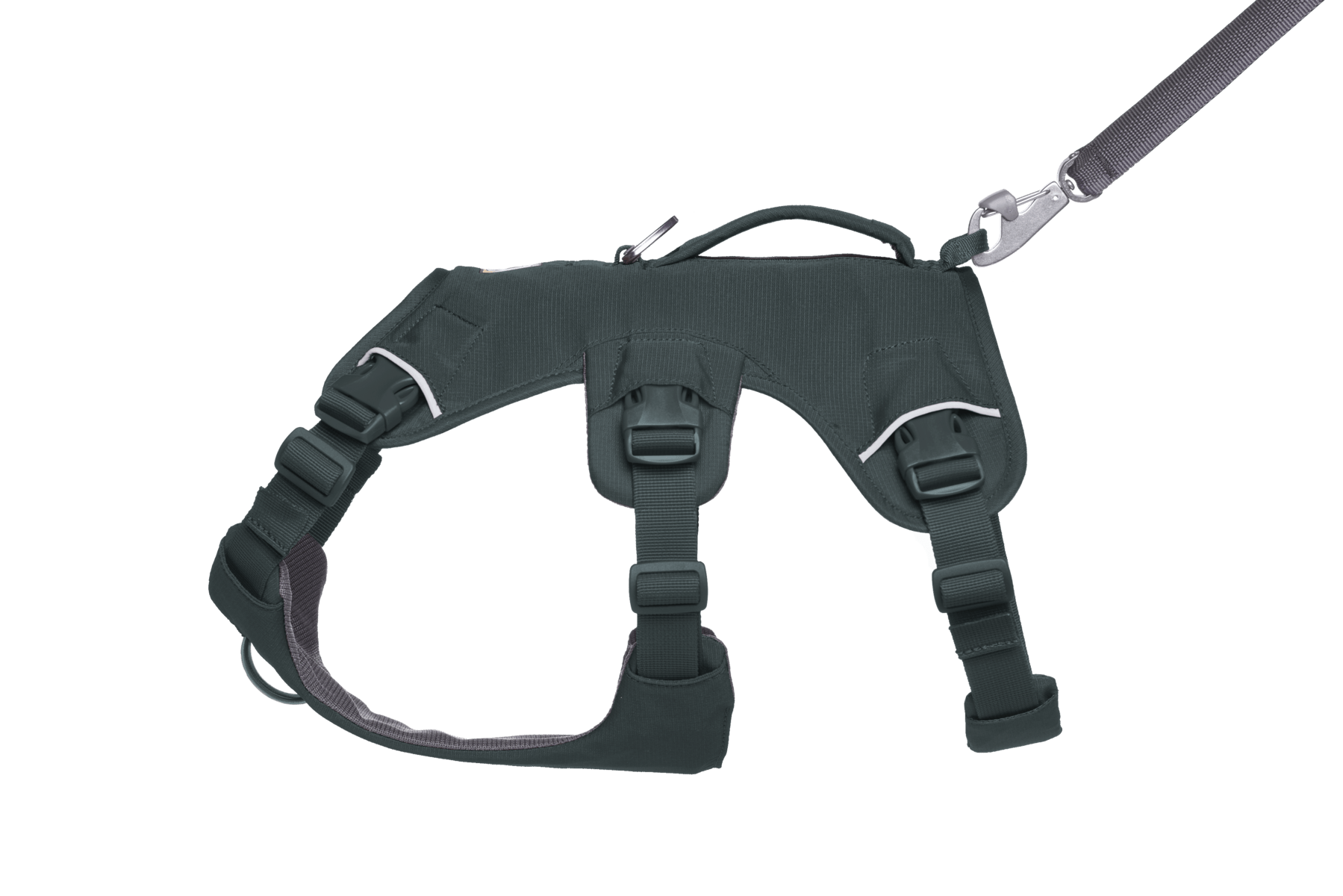 Web Master™ Dog Harness with Handle - Eva Pet - Ruff Wear Inc.