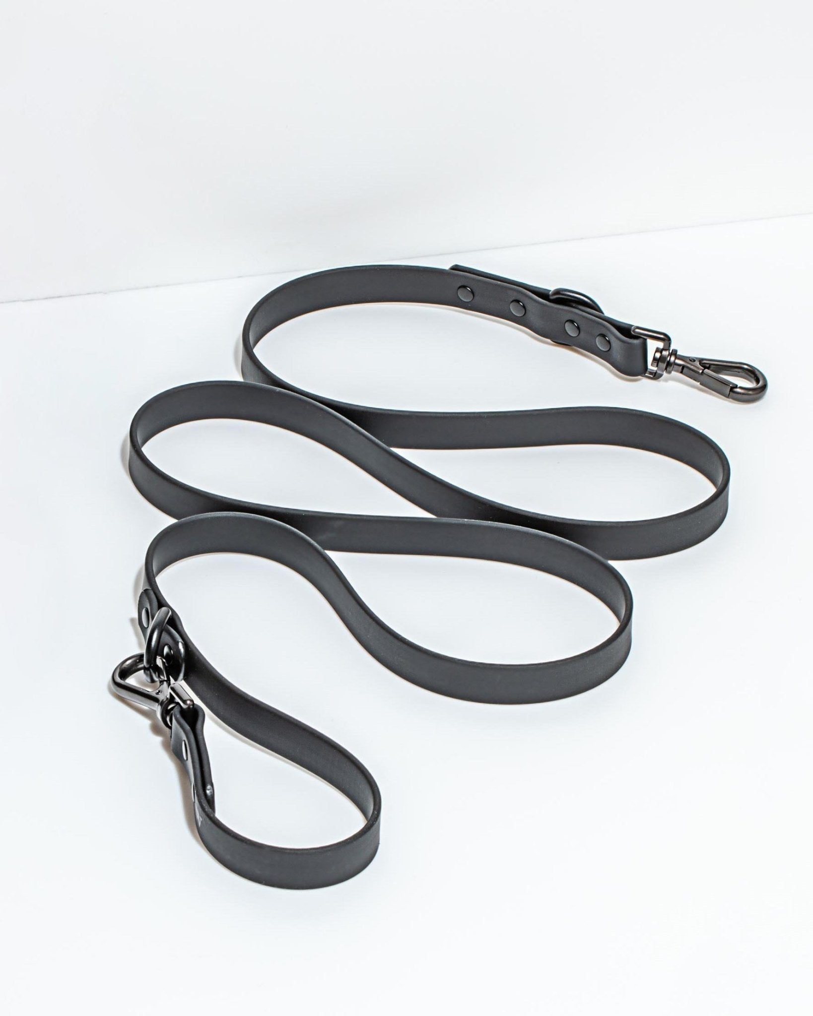 Wild One Dog Leash - Eva Pet - Wild One
