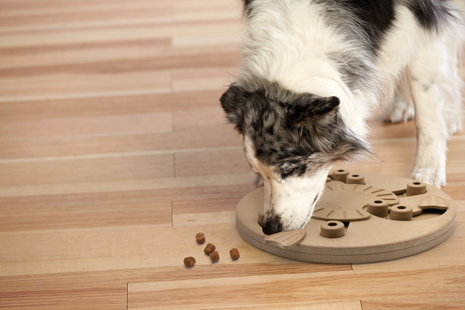 Dog Worker Interactive Treat Puzzle Dog Toy, Tan