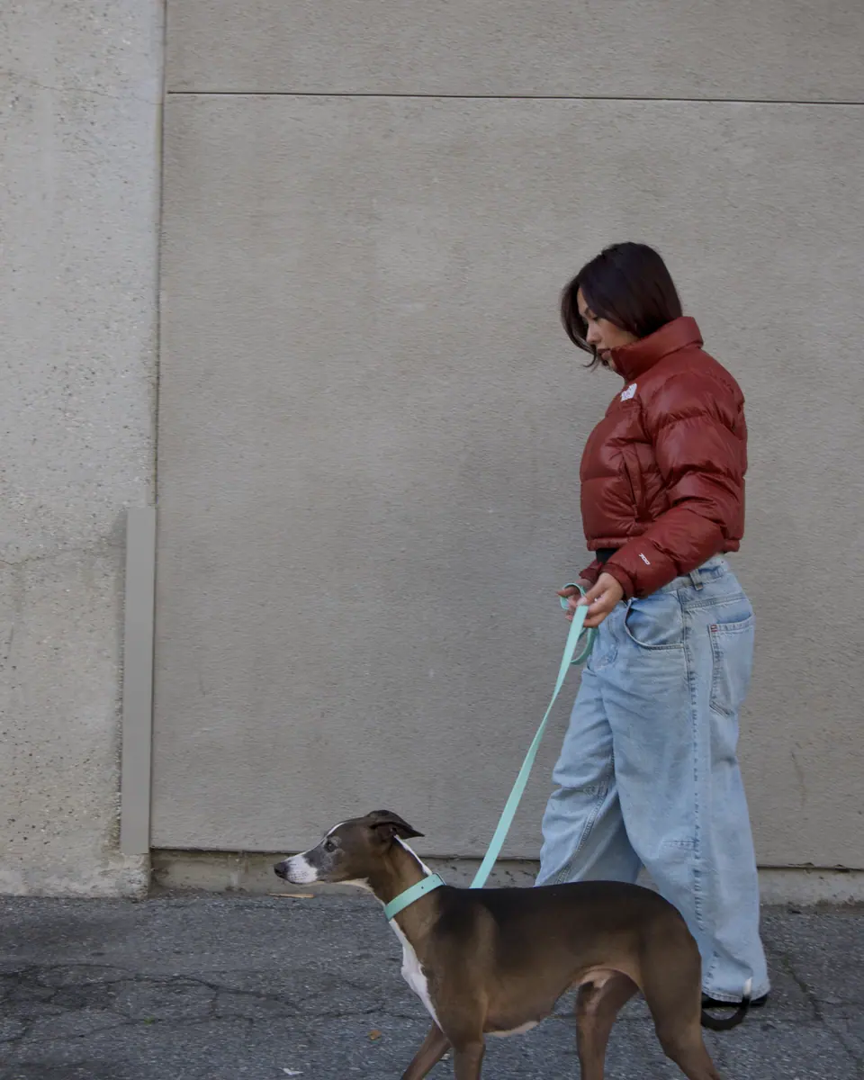 A woman in a red jacket walking a whippet on a city sidewalk